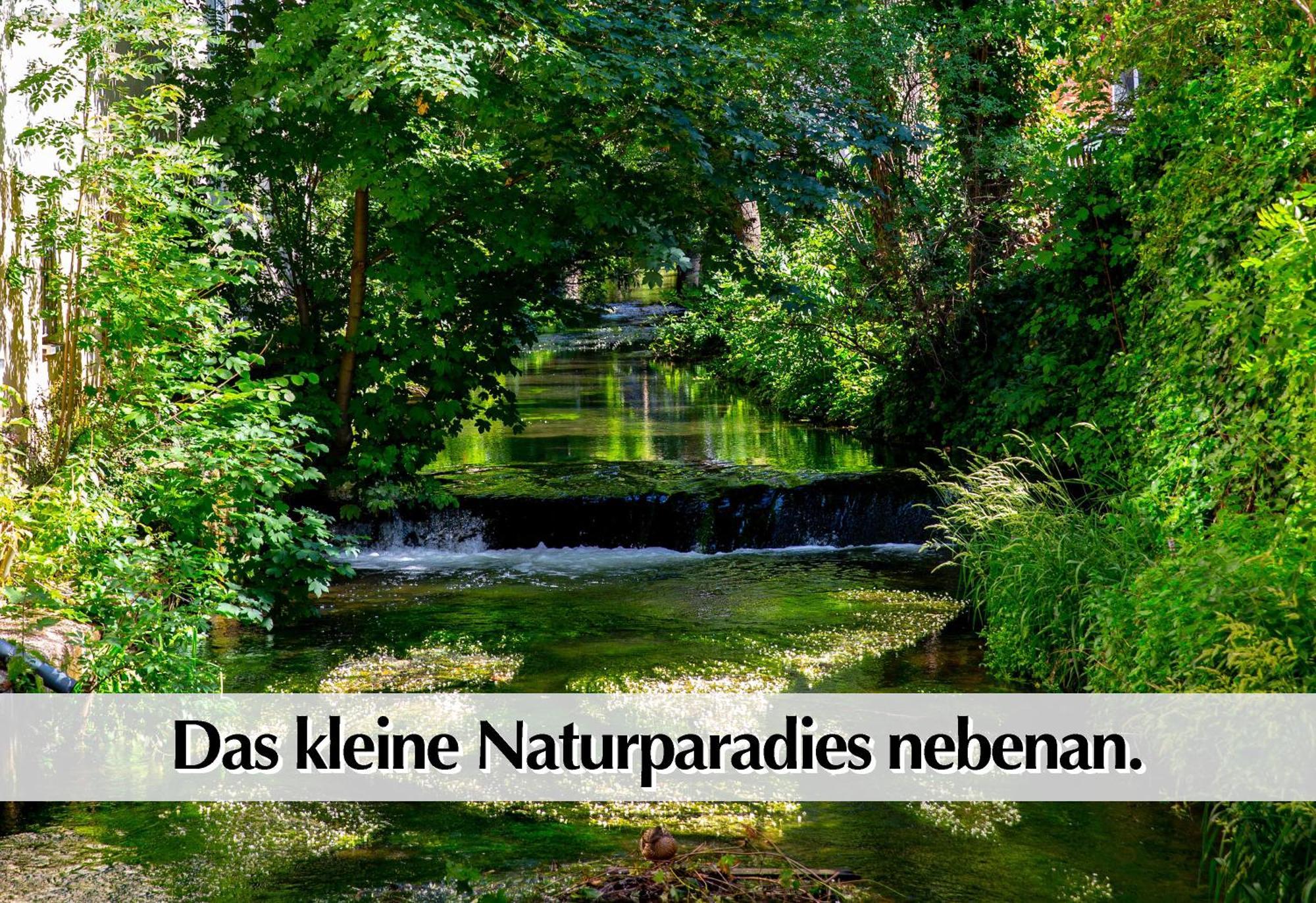Stadtperle Am Plaetschernden Wasser - 50M2 2R Malerische Fewo In Top Lage Érfurt Exterior foto